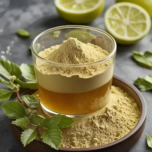 The Complete Guide to Kombucha Powder in 2025